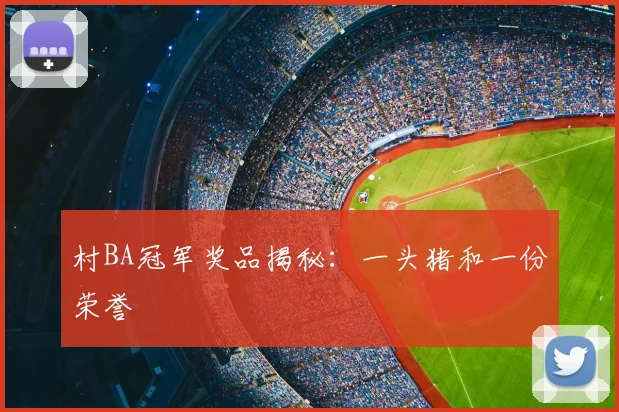 村BA冠军奖品揭秘:一头猪和一份荣誉