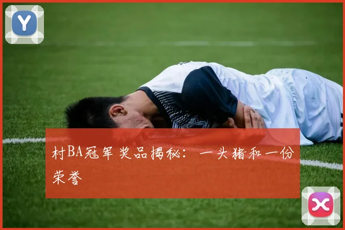 村BA冠军奖品揭秘:一头猪和一份荣誉